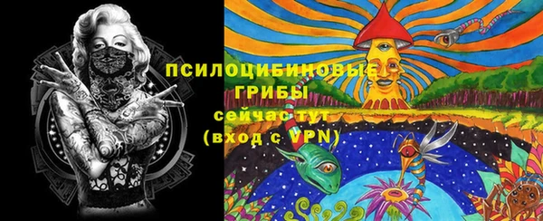 spice Михайлов