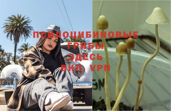 мескалин Михайловск