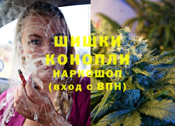 прущая мука Михайлов