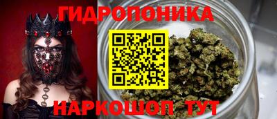 Альфа ПВП Ипатово