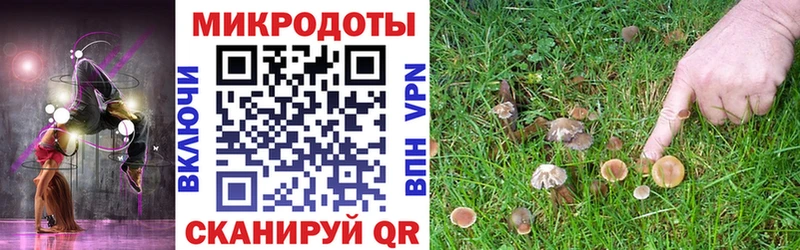 где можно купить   Тихорецк  Псилоцибиновые грибы Psilocybine cubensis 